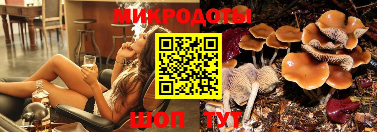 Камышлов  Псилоцибиновые грибы GOLDEN TEACHER  Вход с VPN  Псилоцибиновые грибы Magic Shrooms 